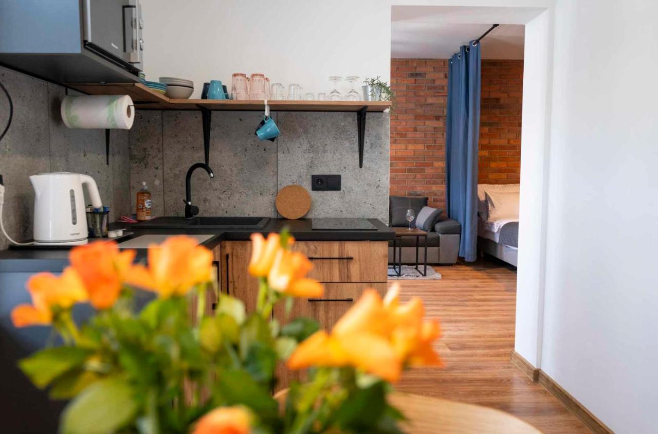 Aparthotel Krzywa Katowice Zewnętrze zdjęcie